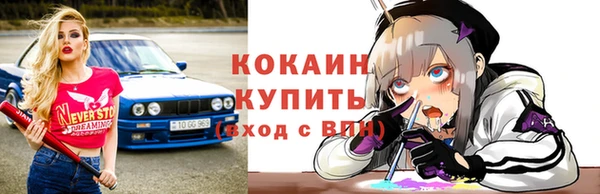крисы Пестово