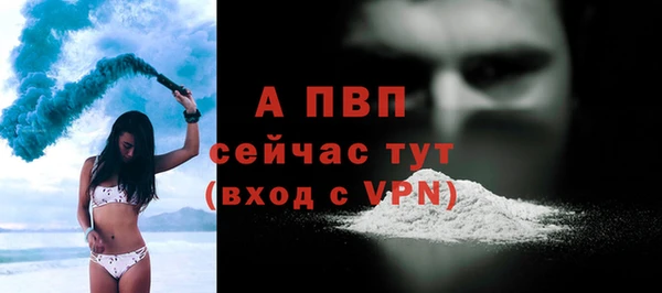 крисы Пестово