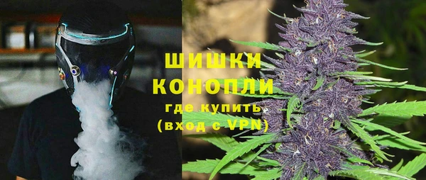 дживик Осташков