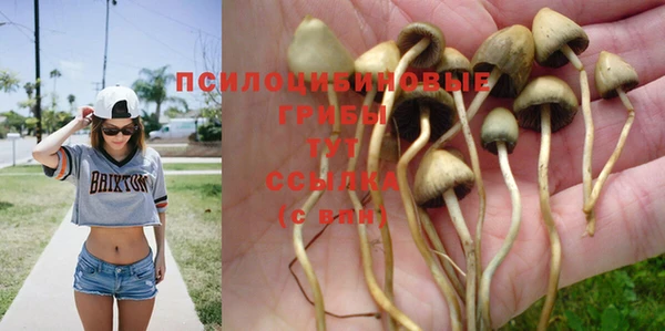 бутик Пересвет