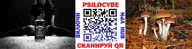 Галлюциногенные грибы ЛСД  Фрязино 
