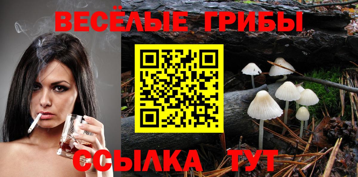 Галлюциногенные грибы Psilocybe Фрязино