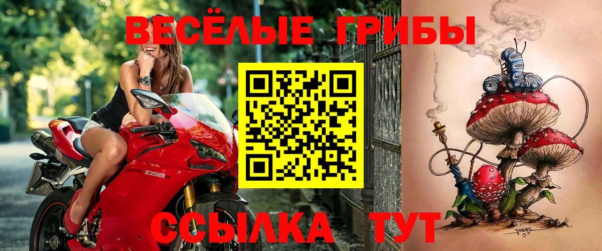 Фрязино  Галлюциногенные грибы Psilocybine cubensis  Вход с VPN  Галлюциногенные грибы мухоморы 