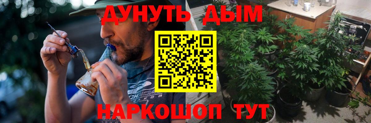 Канабис планчик  Бошки марихуана марихуана  Фрязино  Вход с VPN  Шишки марихуана семена 